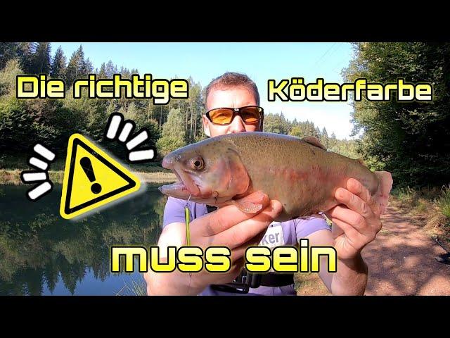 Diese Farbe war der Fischbringer den ganzen Tag