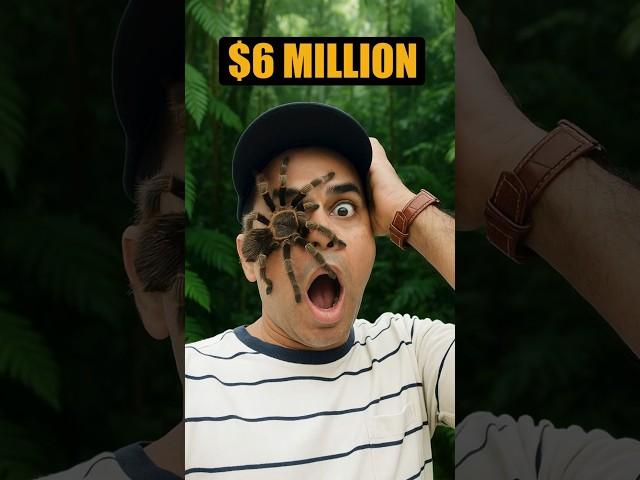 Would you let a spider crawl on your face for $6.5M