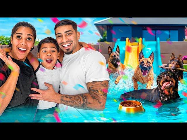 We Threw Our Dogs The Biggest Pool Party!