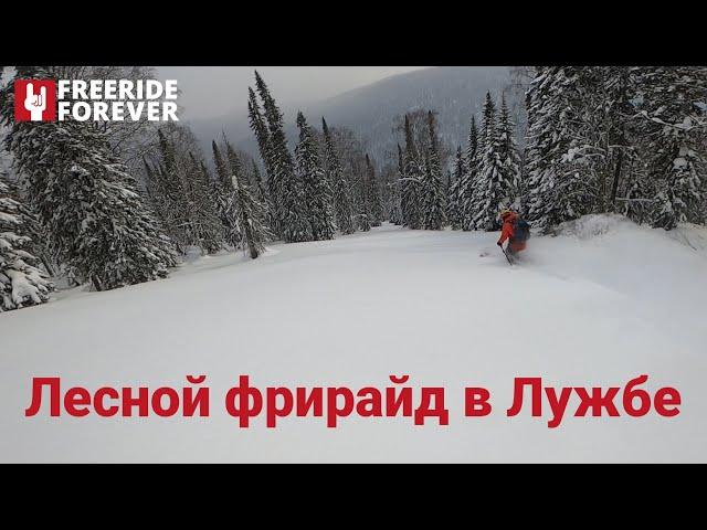 Лесной фрирайд в Лужбе! Freeride Forever Скитур в Лужбе