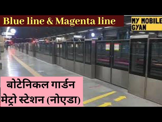 Botanical garden metro station || Noida sec 37 || Magenta line || Blue line || Delhi metro