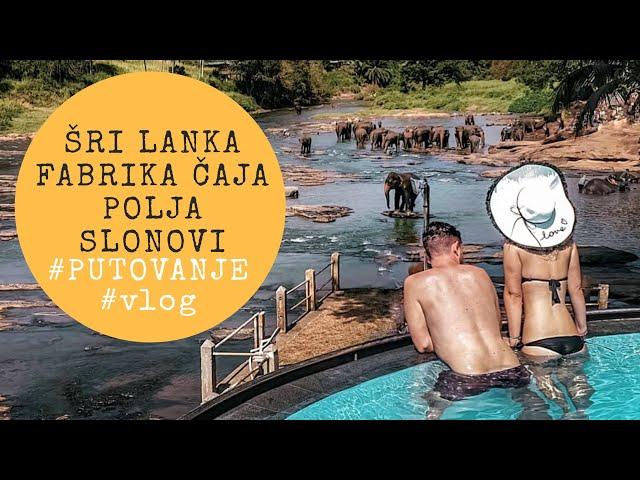 Šri Lanka - čaj & slonovi | travel vlog 2 | Ana Marija i Saša