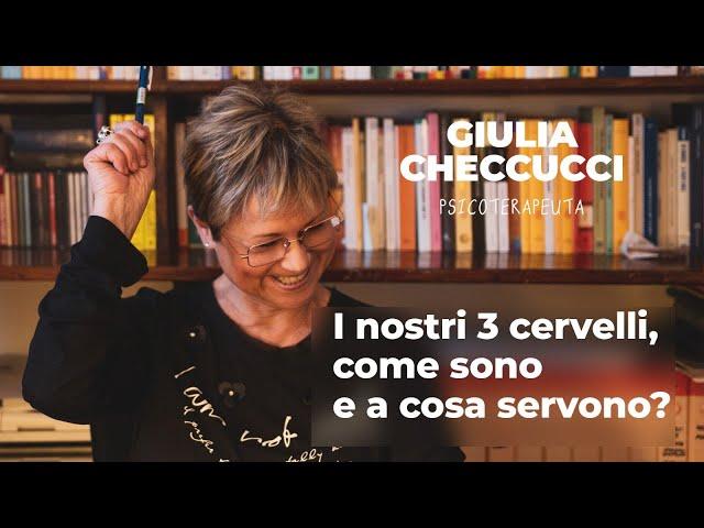 I nostri 3 cervelli, come sono e a cosa servono?