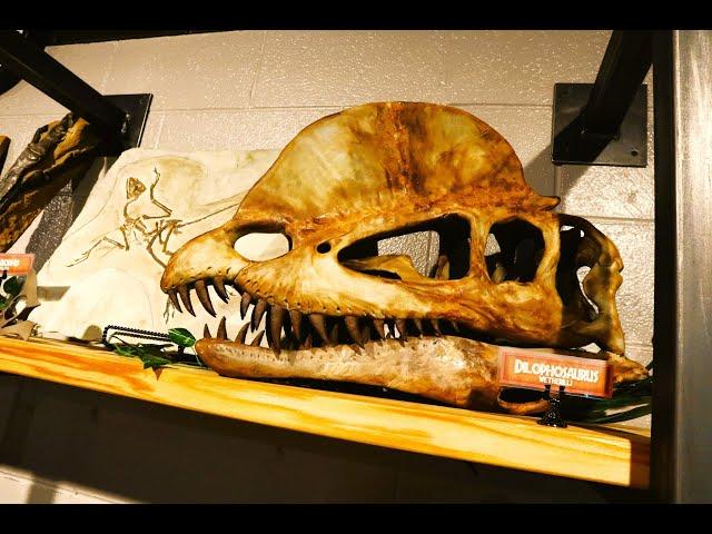 Field Trip: Cranbrook Museum Dinosaurs & ExploreLAB Tour