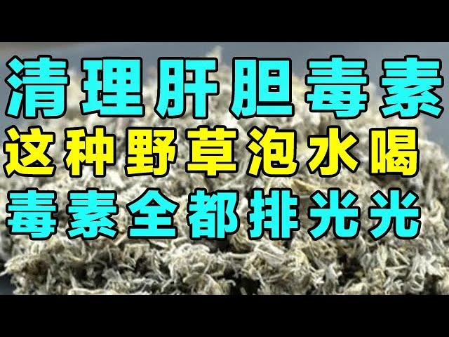 清理肝胆多年毒素，只需这种野草泡水喝，养肝胆除湿热超有效【健康大诊室2024】