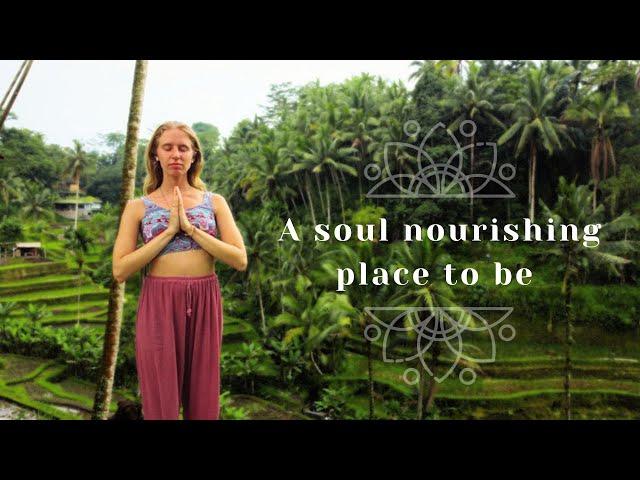 Spiritual Capital of Bali - UBUD 