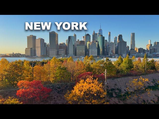 New York City Autumn Walking Tour 2024 4K Brooklyn Heights Best Neighborhood in NYC 4K Virtual Walk