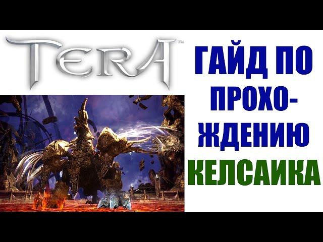 Гайд по прохождению КЕЛСАИКА - TERA Online (РЕЙД 10, Гнездо Келсаика)