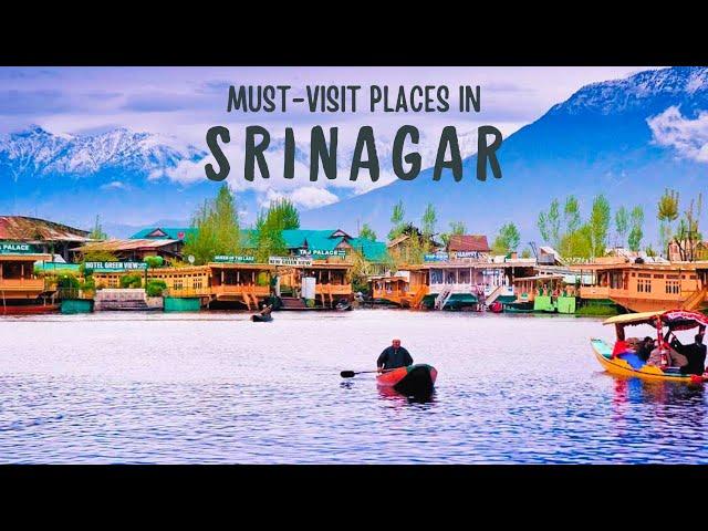 Kashmir Srinagar Tourist Places | Kashmir 2024 | Shikara Ride | Lal Chowk Market | Kashmir Snow