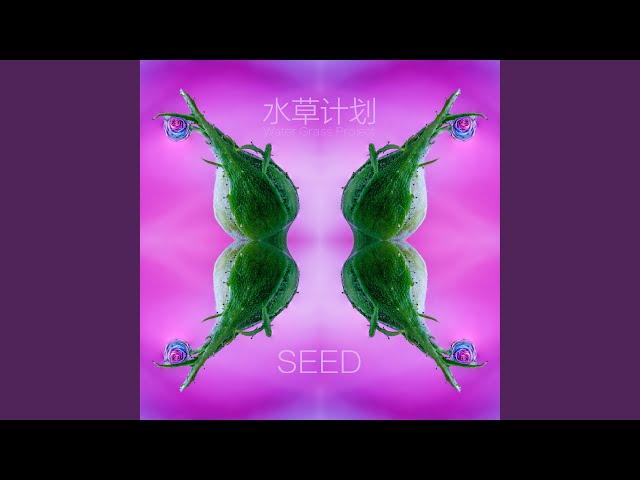 Seed