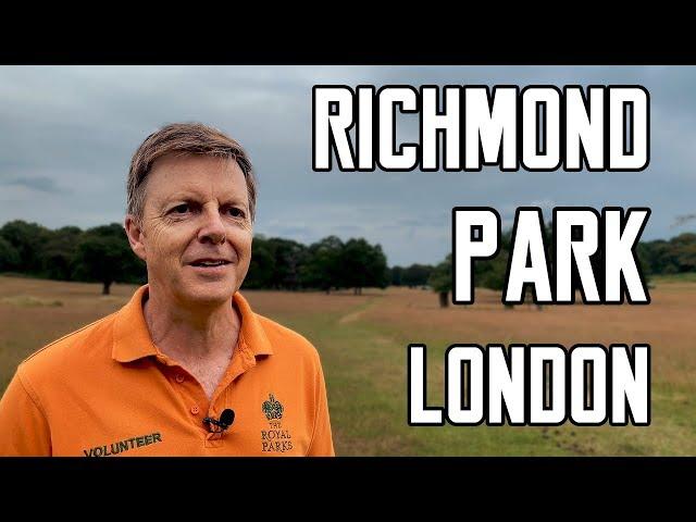 Interview with the most INSPIRING Volunteer Ranger of Richmond Park London