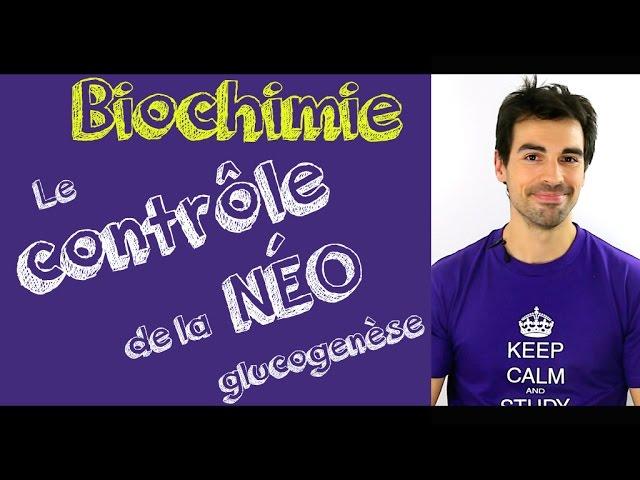 Cours de biochimie: Contrôle de la néoglucogenèse