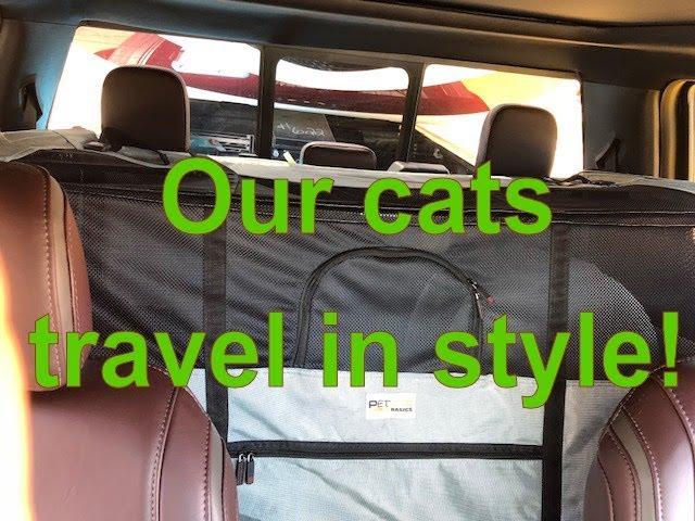 Our Cats Travel In Style | Cats on the move | Cats in RV