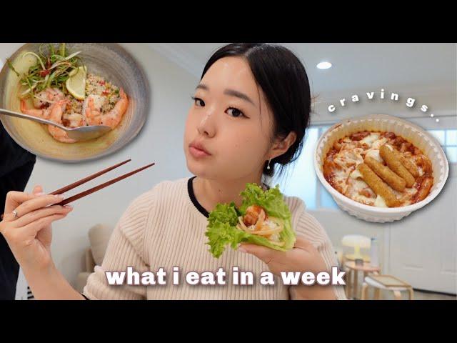  what i eat in a week: korean comfort food, cooking with my bf, etc. 