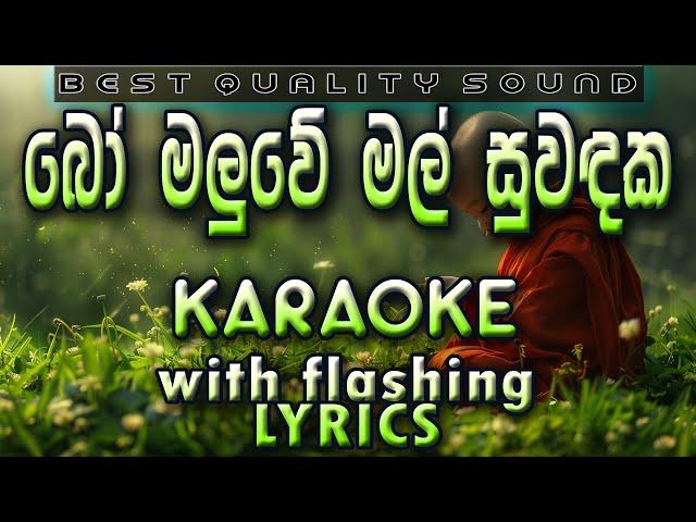 Bo Maluwe Mal Karaoke with Lyrics (Without Voice)