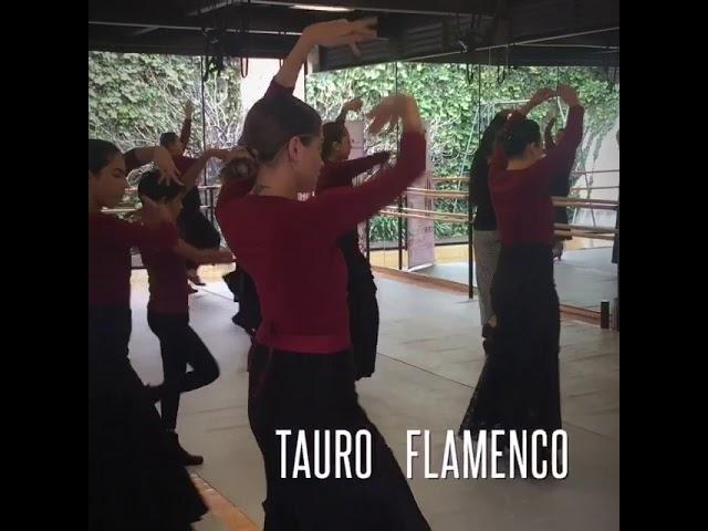 Cursos Tauro Flamenco