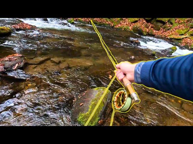 Fly Fishing Paradise In the Appalachian Mountains