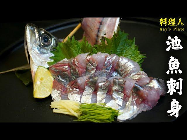 【飛機貨】#料理人ray 在家可以做池魚(アジ)或其他日本魚刺身，只要知道幾個步驟！ 刺身推介 / 鰺做法 / 魚生介紹 / 刺身處理