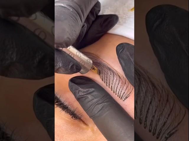 microblading eyebrows step by step