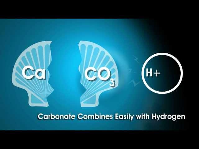Ocean Acidification