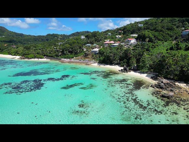 Сейшелы. АКУЛЫ. Anse Royale Beach, Anse a la Mouche Beach