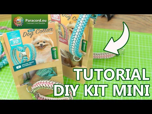 DIY Kit MINI Sanctified Covenant Dog Collar - Paracord.eu Tutorial