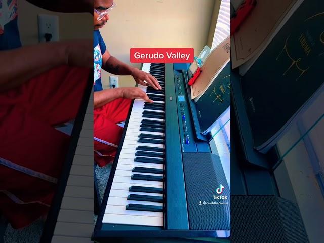 Gerudo Valley improv #legendofzelda #lozzgaming #piano #kylelandry #youtubeshorts #music