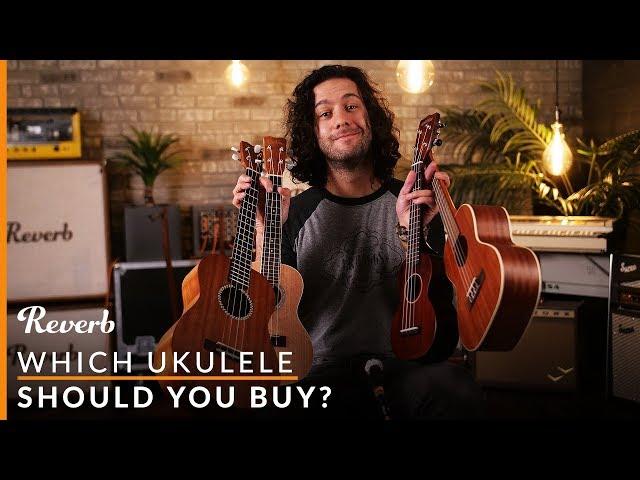 Which Ukulele Should You Buy? | Reverb Buying Guide