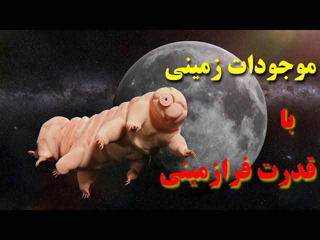 موجودات زمینی با قدرت‌های فرازمینی lشگفت انگیزترین گونه های جانوری