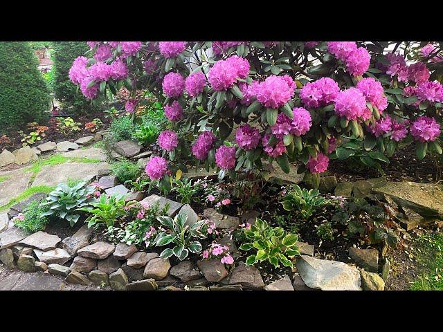 Shade Garden Rockery Planting