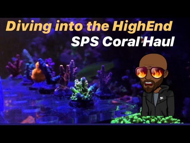 Ep.22 | New SPS Corals & test Kits - Diving Into The High End