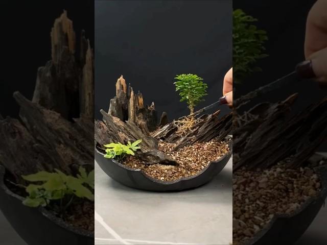 Miniature Forest Making #youtubeshorts #shorts #trending #satisfying