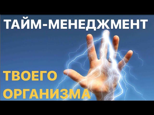 Тайм-менеджмент твоего организма