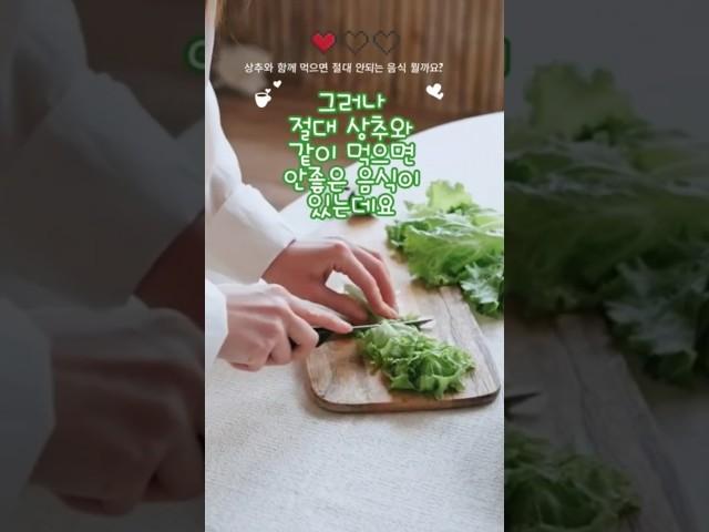 상추와 같이 먹으면 안좋은음식 #건강관리 #건강정보 #건강 #건강상식 음원출처;건강이최고다 #베란다텃밭 #상추효능 #상추텃밭#상추부작용 #음식