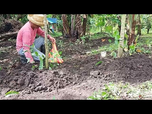 ISANG ARAW SA GARDEN NI KUYAKOY