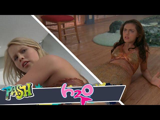 H2O Especial: Transformaciones divertidas 2 ‍️ | PASH