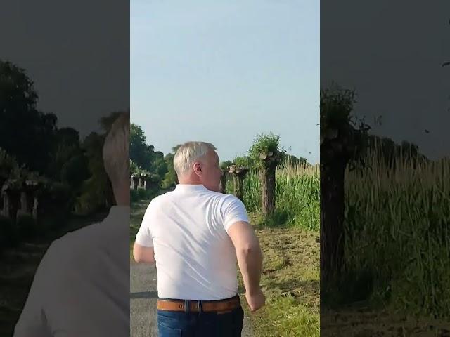 вечерняя пробежка