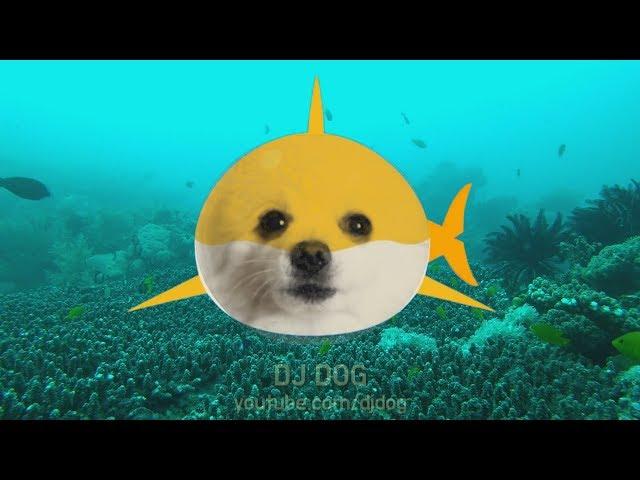 Gabe the Dog - Baby Shark (Cover)