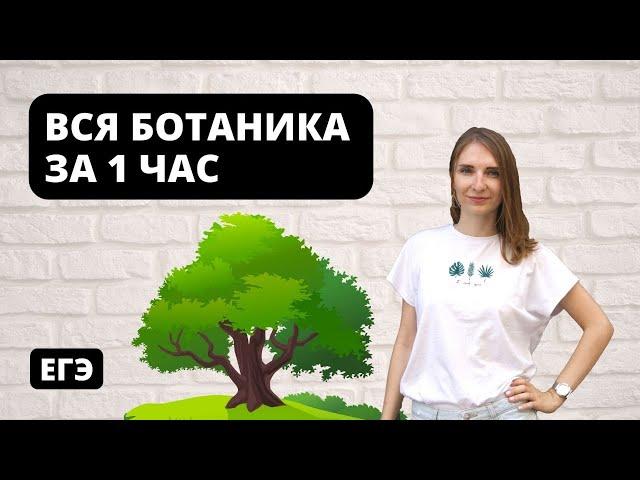 Вся Ботаника за 1 час | ЕГЭ Биология