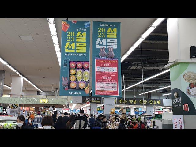 양재 농협 하나로마트 쇼핑 Shopping at Yangjae Nonghyup Hanaro Mart in Seoul