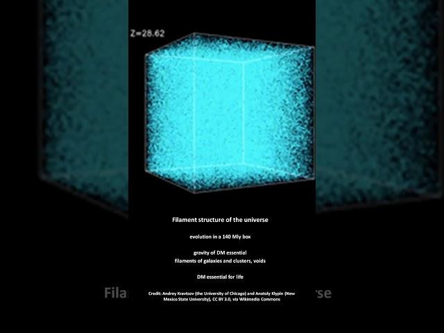 Filament Structure of the Universe: How Galaxies Evolve #shorts