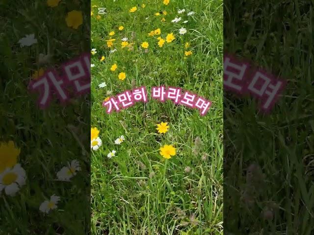 재능대학교 복지케어과 (옹달선생)야생화