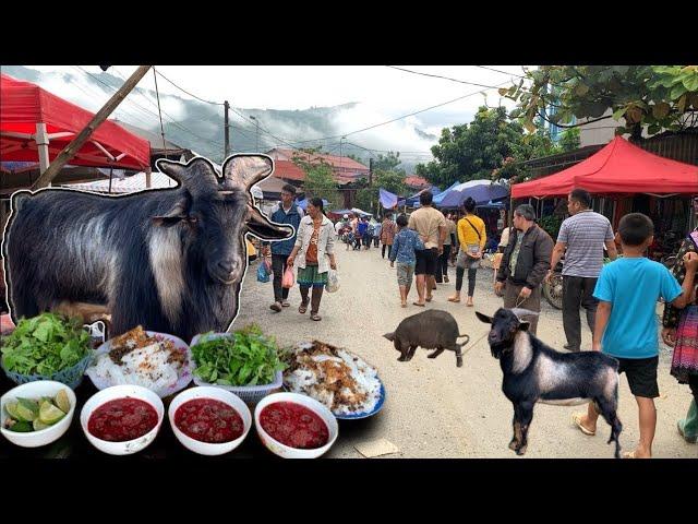 Primitive Market of Coc Ly Bac Ha - Specialty Mountain Goat, Hot-Catching Pig & Mysterious Forest