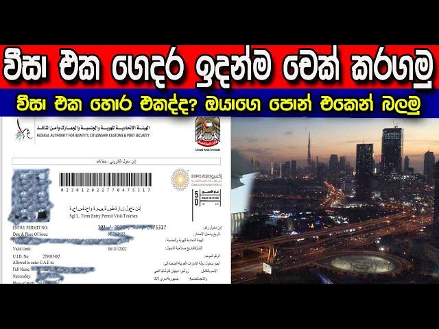 විසිට් වීසා එක ඇත්තද කියලා 4න් එකෙන් බලමු| check uae visa status online sinhala | #dubai #srilanka