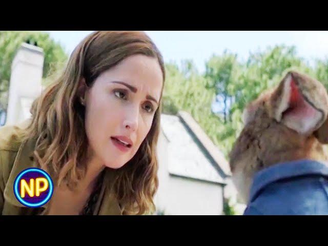 The Bunnies and the Farmer Make Peace | Peter Rabbit