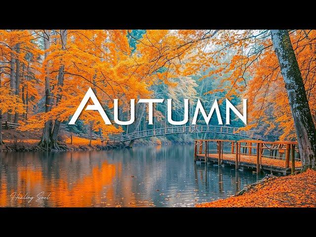 Beautiful Relaxing Music - Soothing Autumn Melodies, Mindful and Peaceful Piano Instrumental Music