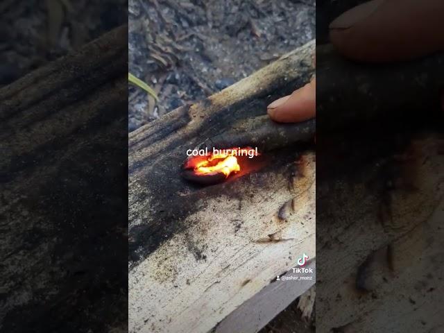 (primitive technology) coal burning technique #shorts #nature #primitivetechnology #bushcraft