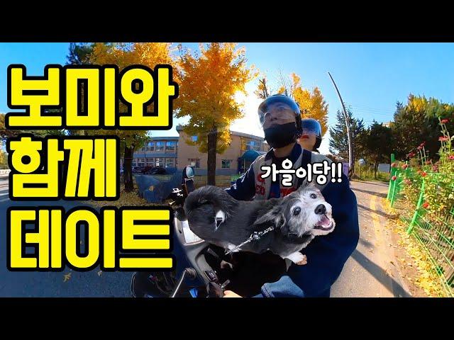 Korean dating culture with puppies