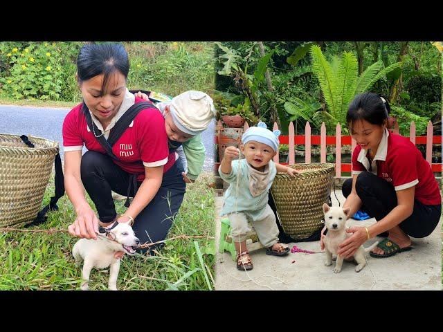 Harvesting green vegetables to sell - On the way home - accidentally met a stuck puppy