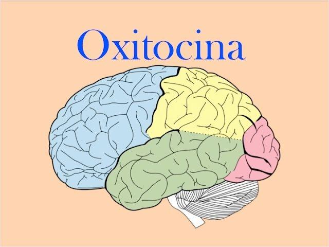 Oxitocina